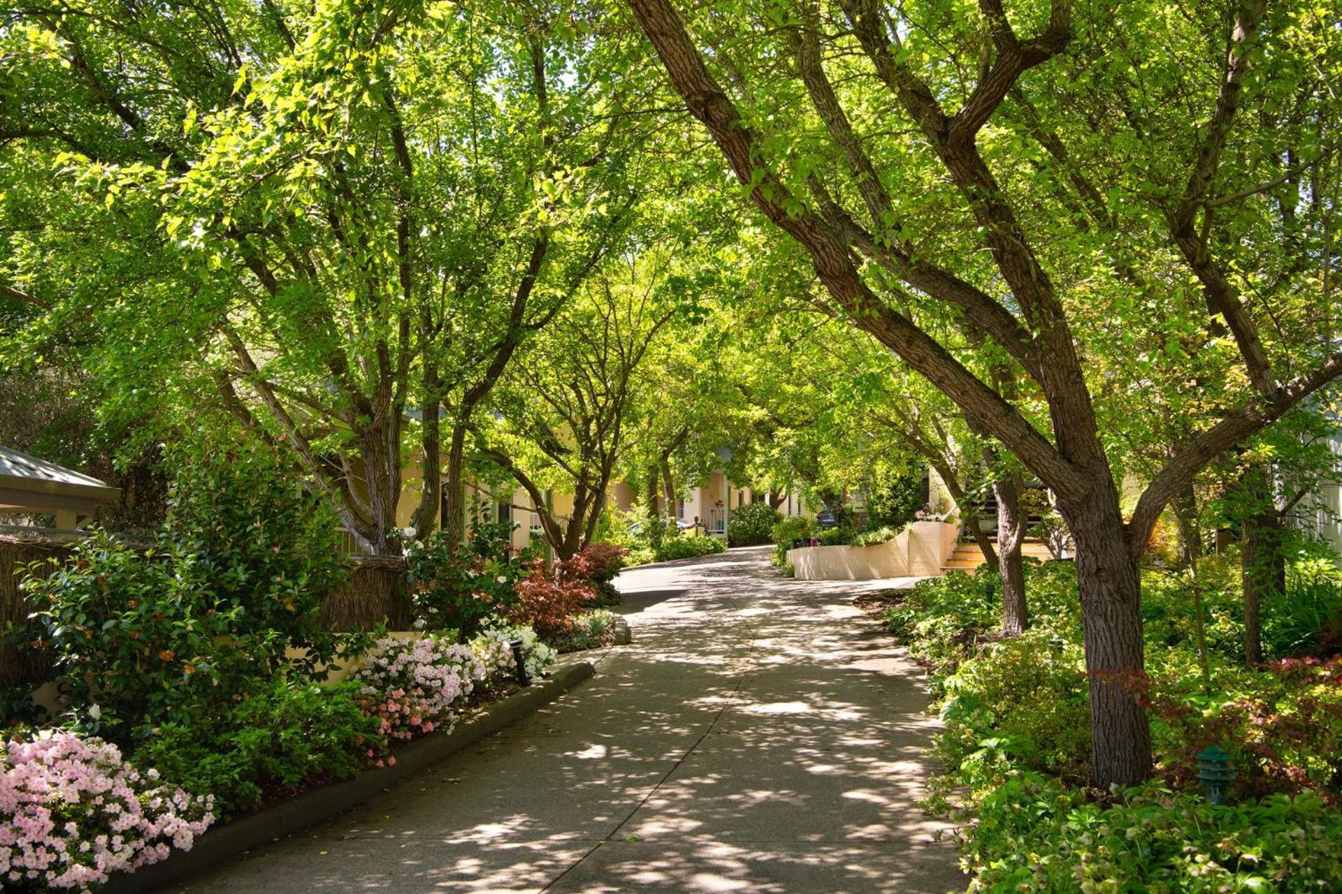Villa Sorelle Daylesford Esterno foto